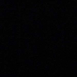 Meet your Posher, Laney